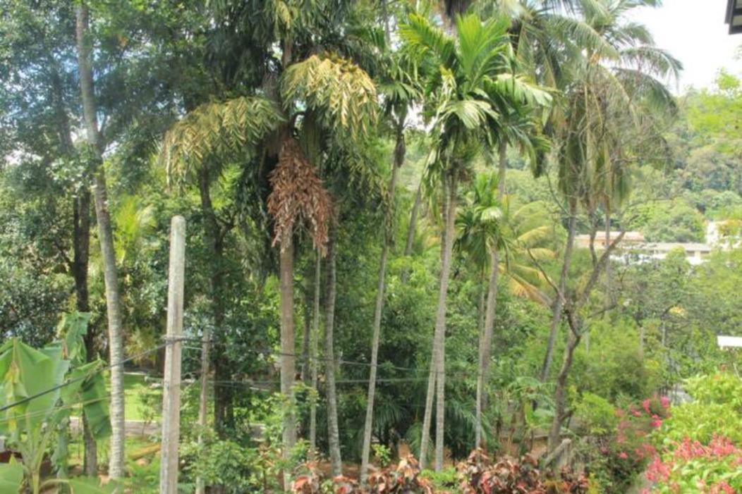 Lake Round Residence Kandy Esterno foto